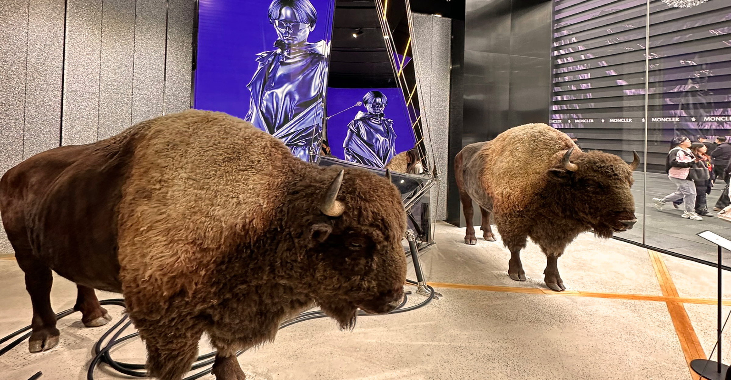 Two bison statues in asian store to enhance retail client experience Valtech