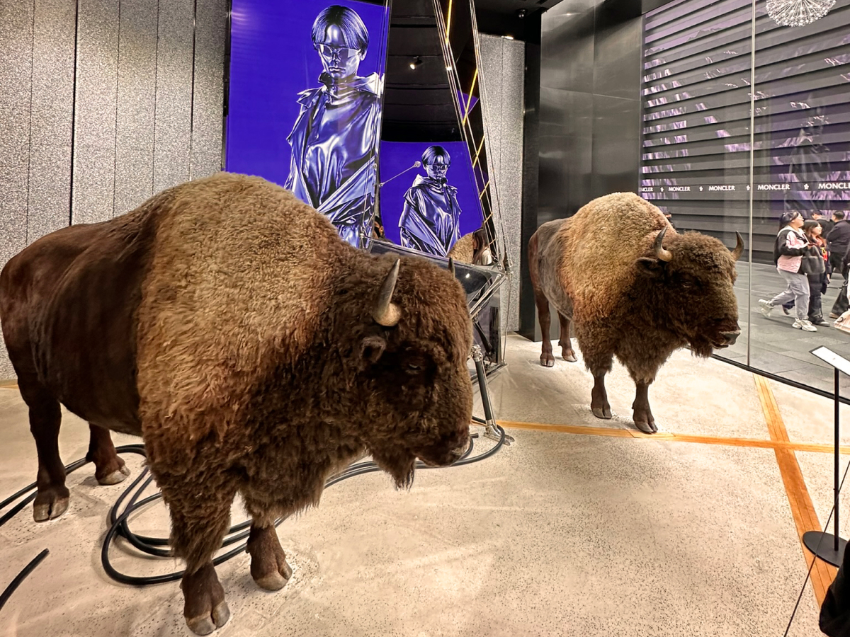 Two bison statues in an Asian store's client experience