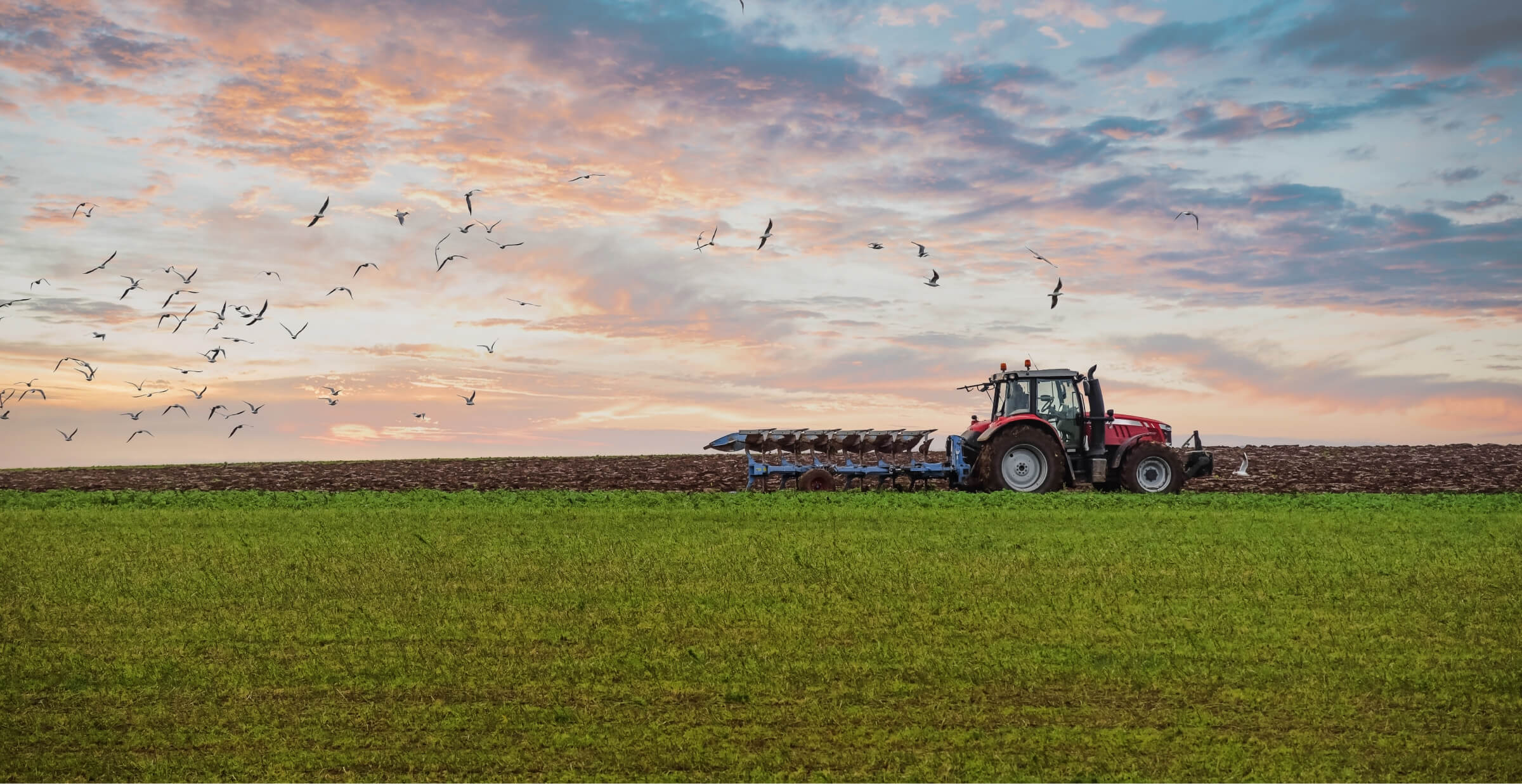 A red tractor plowing a large green field at sunset, with birds flying overhead. The sky is filled with soft, colorful clouds, creating a peaceful and scenic farming landscape.