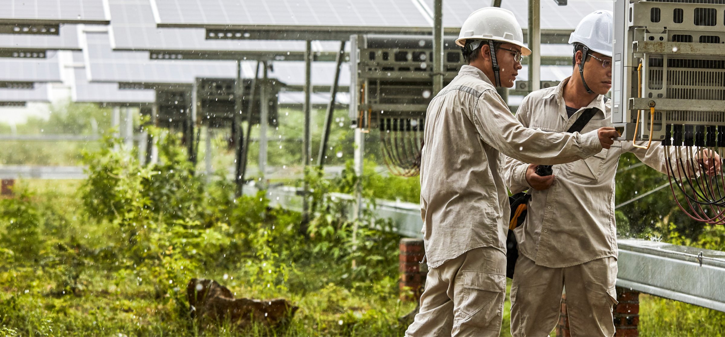 two technicians inspecting solar panels in the rain