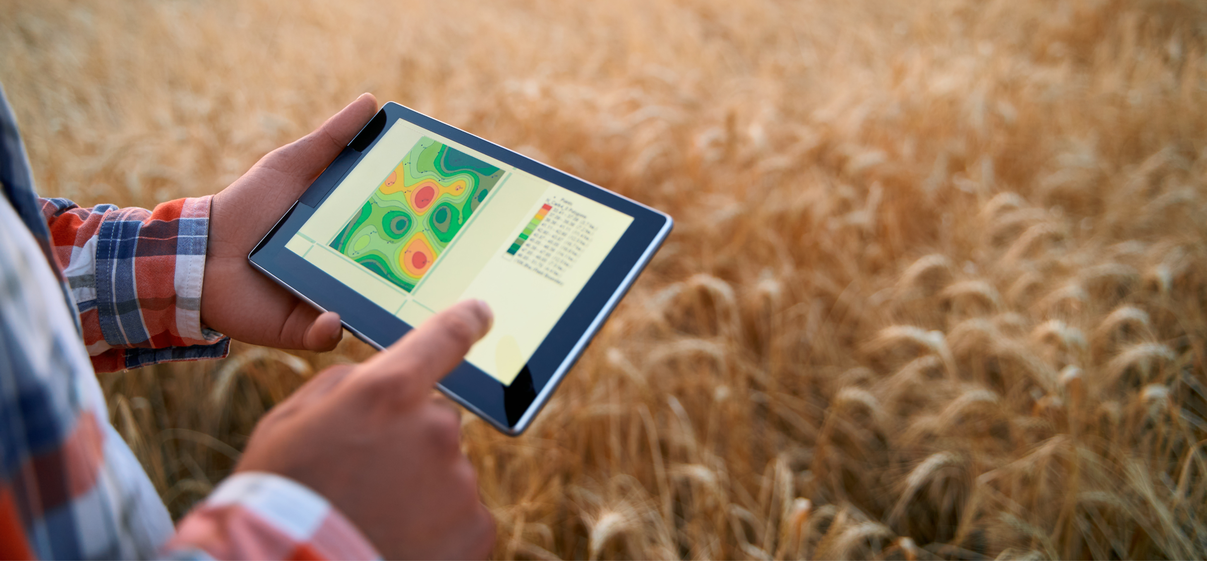 farmer using a tablet to analyze crop data in field