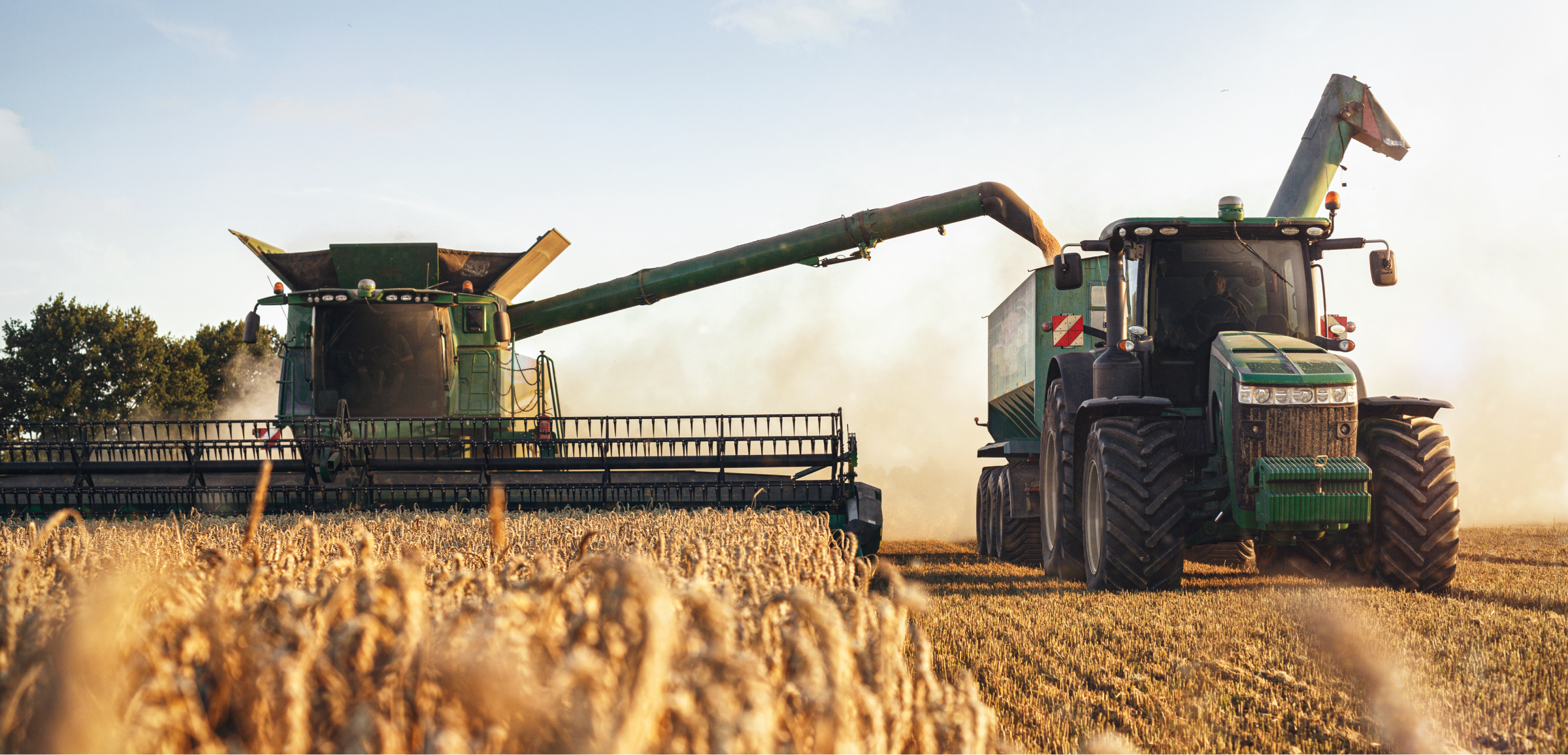 two tractors harvesting wheat in a sunny field